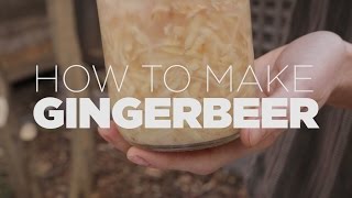 How to make Ginger Beer - probiotic or alcoholic, you decide!