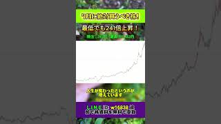 #株式投資#日本株#投資#資産運用#お金の勉強#投資初心者