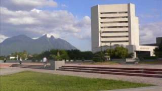 LOS ALEGRES DE TERAN-VEINTE AÑOS