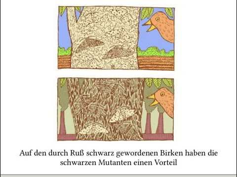 Mutation, Rekombination & Selektion