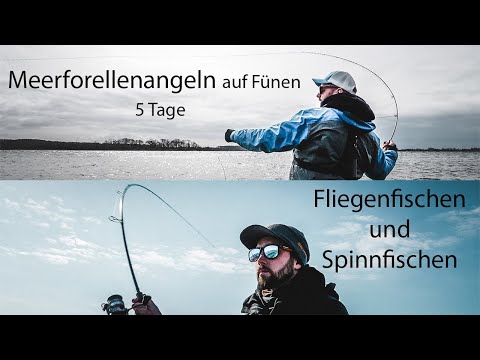 Meerforellenangeln auf Fünen - 5 Tage I Trailer
