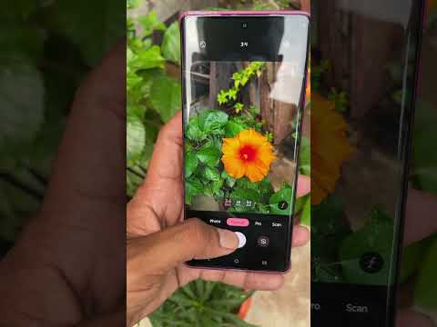 Motorola edge 50 fusion camera best photo capture only 23k 🥳❤️#trending #motorola 💕❤️