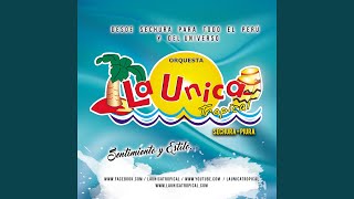Te Quiero a Morir - la Unica Tropical Lyrics English Translation