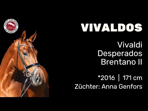 Vivaldos *2016 von Vivaldi x Desperados | Hengstschau Sosath  2024