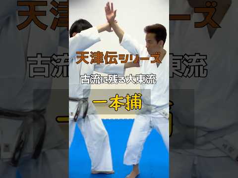 古流に残る投げない大東流合気柔術〜合気道の源は本当か？天津伝から一本捕を学ぶ総伝 #daitoryu #大東流合気柔術 #martialarts
