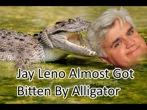 Jay Leno Almost Got Eaten By an Alligator on His Show | Featuring Steve Irwin | Funny