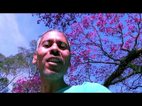 Inspirar No Agora - CELSO LIRA OFICIAL