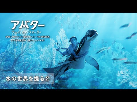 水の世界を撮る②（字幕版）