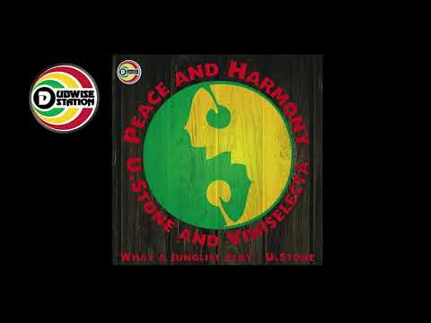 U.Stone & Viniselecta - PEACE AND HARMONY- Dubwisestation records
