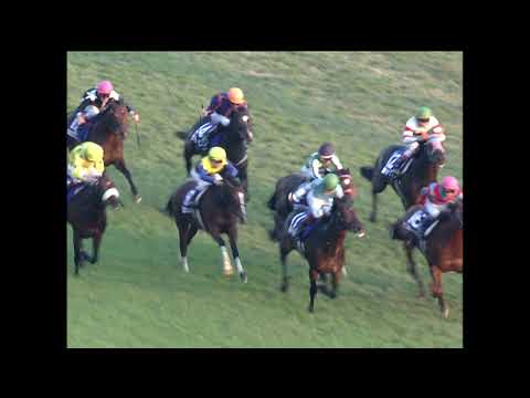 2013 Japan Cup (G1) | JRA Official