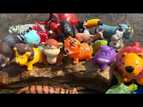 🏞️ Wild Zoo Animal Toys Outdoors! Safari Adventure Play & Learning for Kids