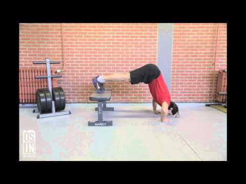 INVERTED SHOULDER PRESS BY OSIN COACHING