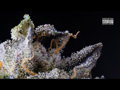 DIDACO - UN BARETO + (Visualizer)