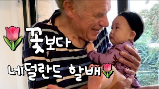 생전 처음 손녀를 안아본 네덜란드 할아버지 반응 (만 8개월 아기 봉글이 👶🏻)
