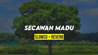 Download lagu SECAWAN MADU (slowed reverb) mp3 Download lagu SECAWAN MADU (slowed reverb) mp3