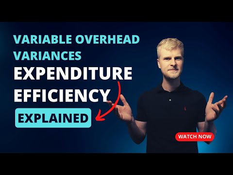AAT Level 4 - Variable Overhead Variances - Expenditure and Efficiency Explained