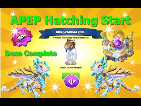 APEP Hatching Start and Deco Complete-Dragon Mania legends | Chrono Divine Event | Castle Event  DML
