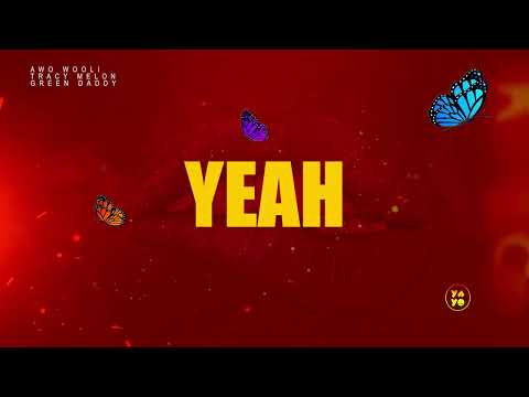 Green Daddy - Awo Wooli & Tracy Melon (Lyrics Video)