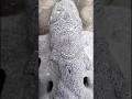 Ganesha Statue Ganapati Ganesha Vinayagar Pillaiyaar Idols Shorts God Sculpture Statue