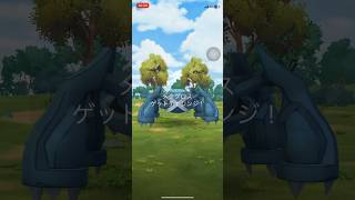 ポケモンGOレイドバトルメタグロスゲットできたかな？ #ポケgo #pokemongo #ポケモンgo #pokemon #ポケゴー #ポケモン #shorts#short #メタグロス