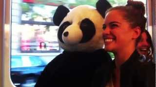 Panda Party: X-Tra, 26.10.12