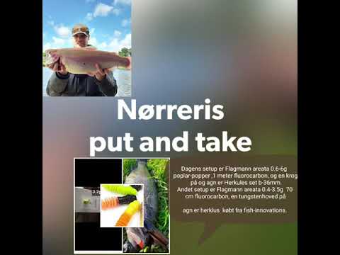 Fik 2 guldørred i Nørreris put and take.