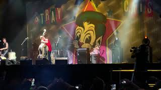 Download lagu Stray Cats “BE-BOP-A-LULA Gene and Eddie” Live ARF Azkena Rock Festival Vitoria 21/6/19 mp3