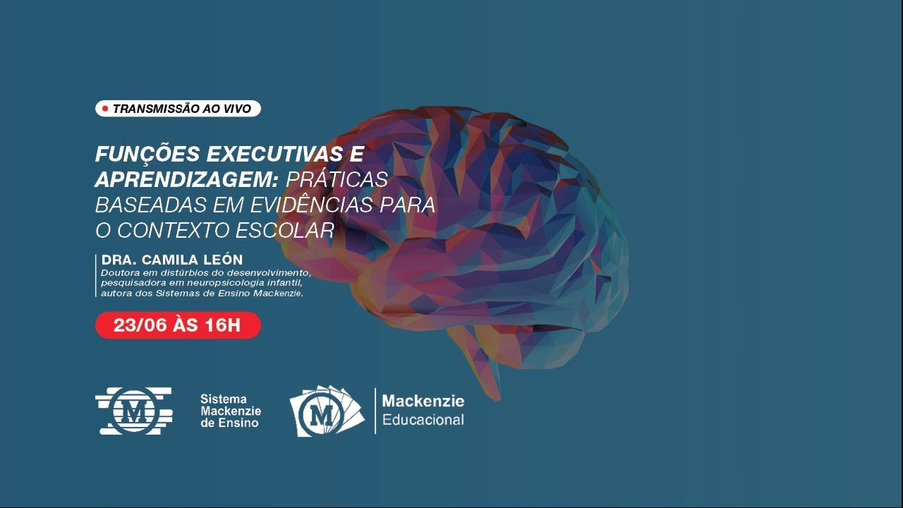 🔴 Funções executivas e aprendizagem: práticas baseadas em evidências para o contexto escolar