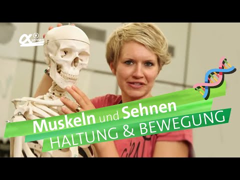 Beste Salbe von degenerativen Bandscheibenerkrankungen der Halswirbelsäule Sprunggelenk Foto