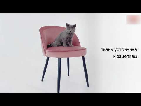Обеденный стул Моли, пломбир (велюр)/черный в Екатеринбурге - видео 6