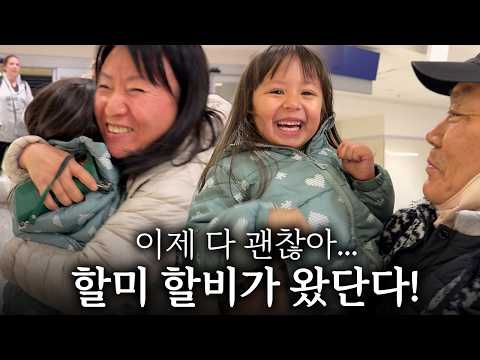 이사 첫날 50cm의 폭설에 식량도 끊긴 상황.. 한국에서 구원자가 달려오셨어요!