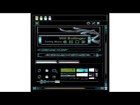 Will Bollinger - My Idiot Pelican