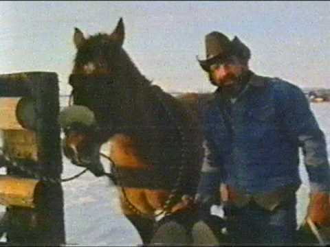 Thumbnail of the video: Mysterious World: Bigfoot Footage