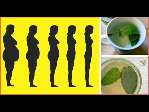 Lahat ay magiging mahusay na blog slimming Anita Lutsenko download Upang makakuha ng manipis na bilang ng 10 araw ng kagutuman