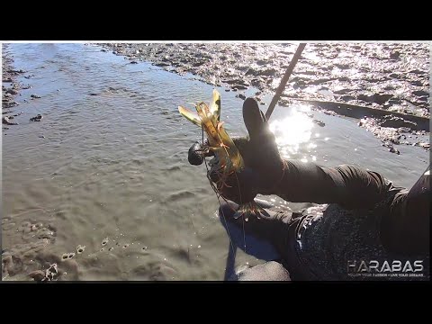 EP484-Part 2 - Paninimot ng Palaisdaan | Occ. Mindoro