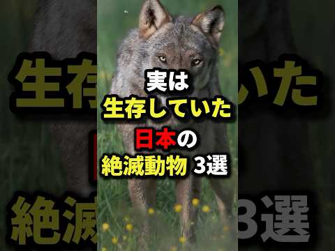 絶滅の危機に瀕している動物 - 定義、分類、例