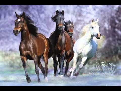 Only the Horses (Reverse Bootleg Mix) - Scissor Sisters