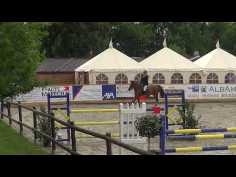 Kronos du Roset, stallion, by Kannan, 2005, La Chaumaz 2017