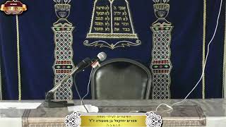 בית המדרש "תורת דוד" ¤ שידור חי ¤ כ"ח תמוז תשפ"ה (24.7.2025) (מוסדות תורת דוד) - התמונה מוצגת ישירות מתוך אתר האינטרנט יוטיוב. זכויות היוצרים בתמונה שייכות ליוצרה. קישור קרדיט למקור התוכן נמצא בתוך דף הסרטון בית המדרש "תורת דוד" ¤ שידור חי ¤ כ"ח תמוז תשפ"ה (24.7.2025) (מוסדות תורת דוד) - התמונה מוצגת ישירות מתוך אתר האינטרנט יוטיוב. זכויות היוצרים בתמונה שייכות ליוצרה. קישור קרדיט למקור התוכן נמצא בתוך דף הסרטון