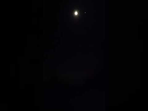 Rykowisko na starym młynie 2