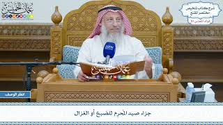 2641 - جزاء صيد المُحرِم للضبع أو الغزال - عثمان الخميس