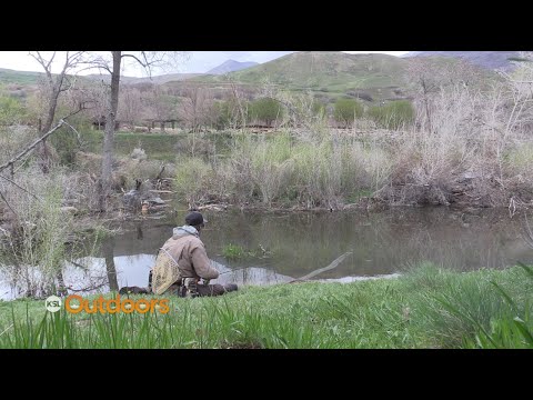 Fish Tech Tip: Spooky Fish in Beaver Ponds and How to Catch Them