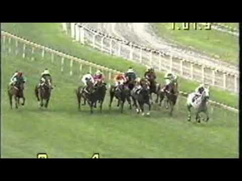 1993 Futurity Stakes - Schillaci