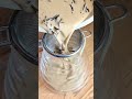 Make Your Own Trendy Drink CHATIME Style ROASTED MILK TEA More Economical And Delicious A MUST