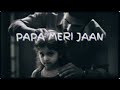 Papa Meri Jaan (Slowed + Reverb) | Ranbir Kapoor | Anil K, Rashmika M | Sonu Nigam | Animal | Lofi