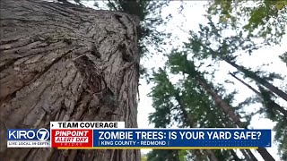 Is your yard safe from Zombie Trees
