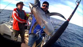 preview picture of video 'tuna fishing Portland Victoria 2014'