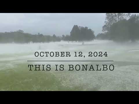 Bonalbo hit by sudden storm