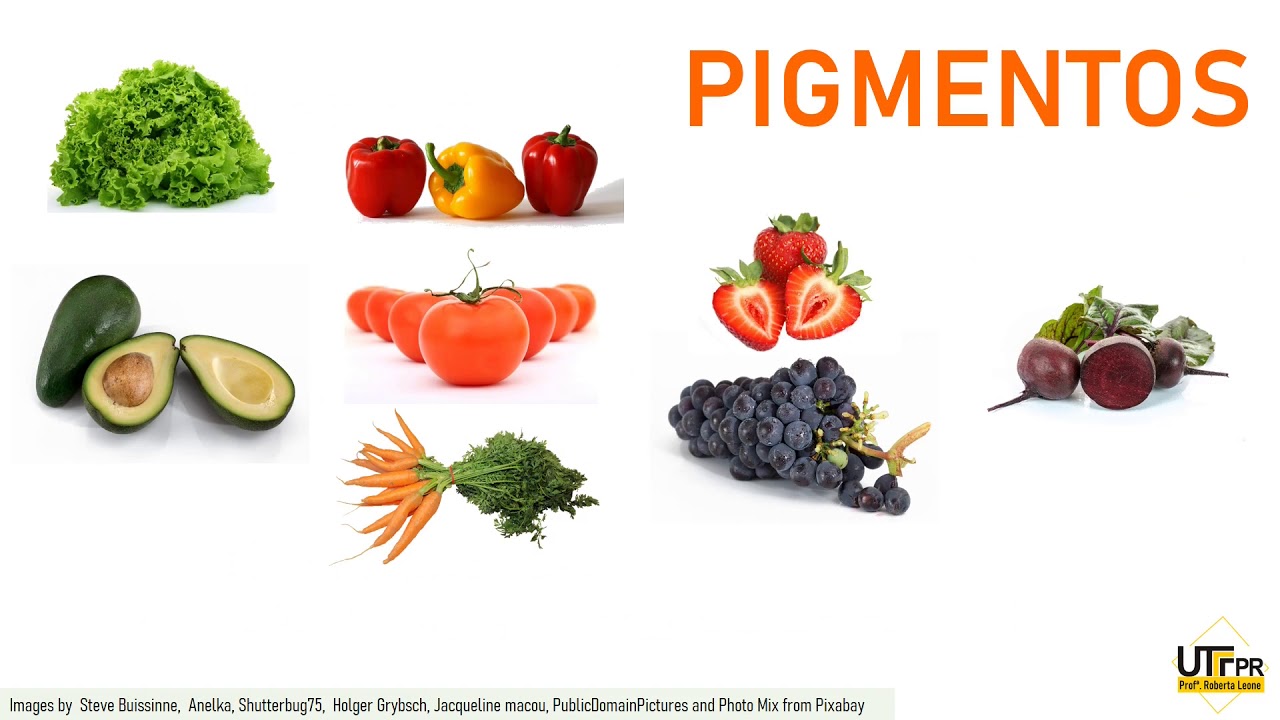 COMPOSIÇÃO QUÍMICA DAS FRUTAS E HORTALIÇAS