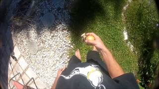 Zen Promo 1.0 | I Found My Zen